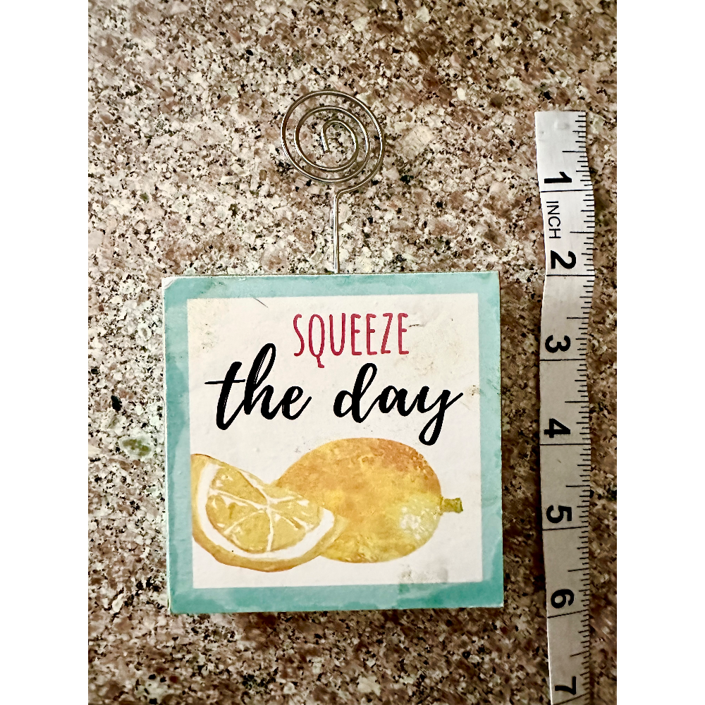 Decorative Sign - Squeeze the Day