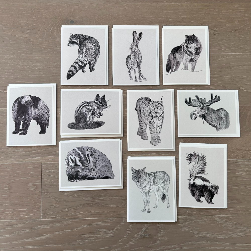 1 x 10 pack of furbearers greeting cards