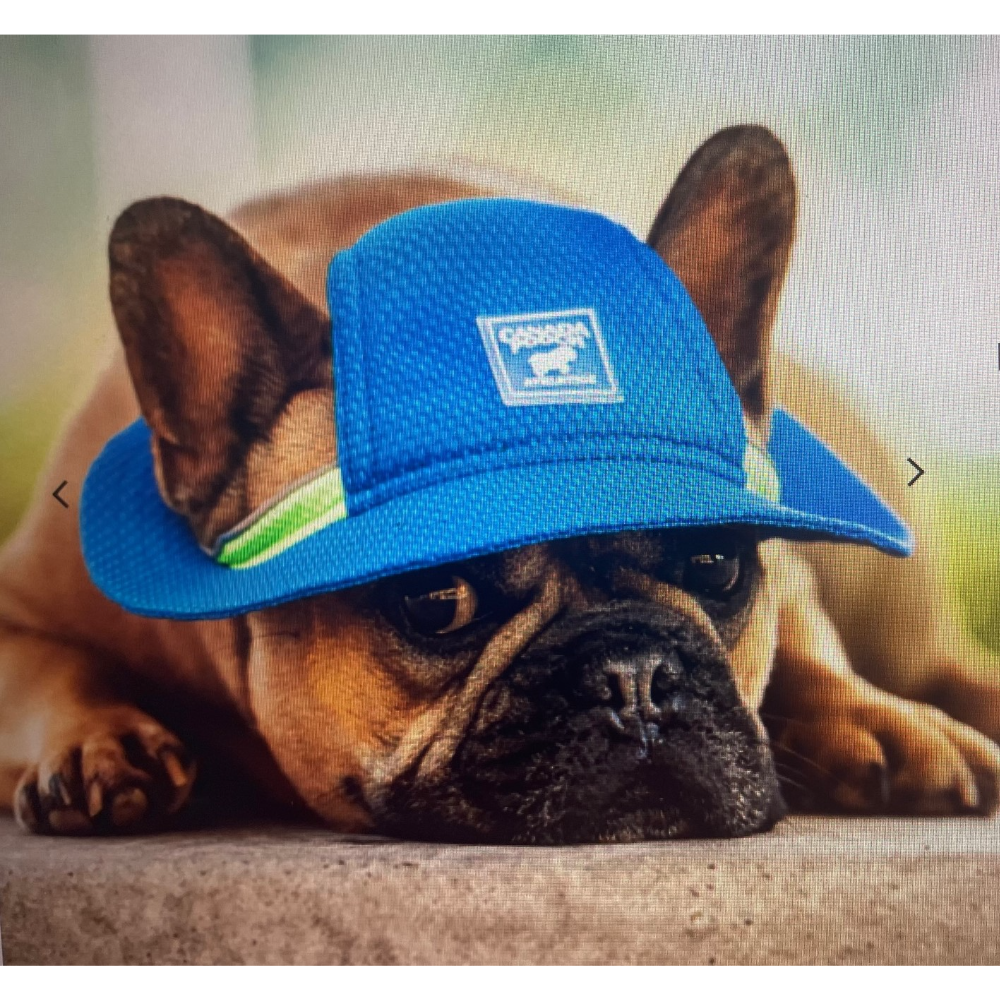 CANADA POOCH Chilling  Seeker Blue Cooling Hat
