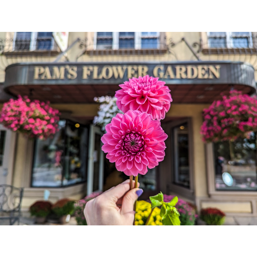 $100 gift certificate donated by Pam's Flower Garden