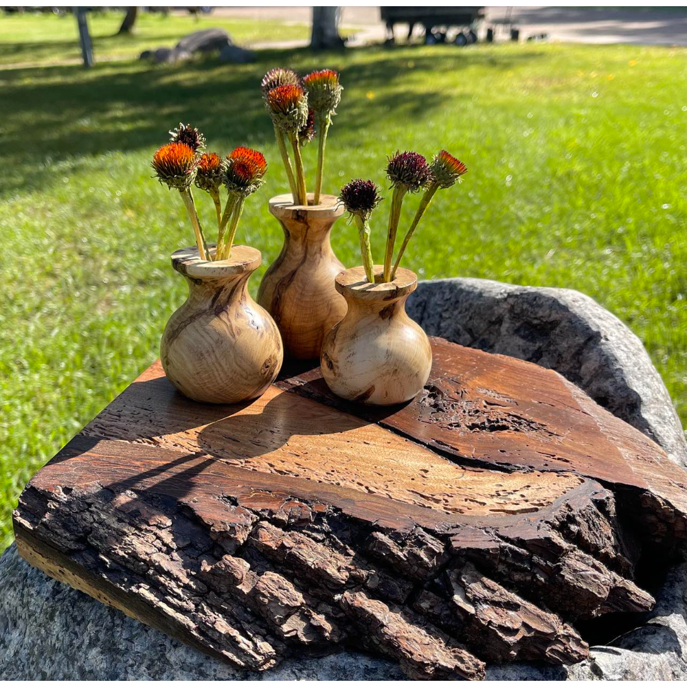 3 wooden bud vases and display board
