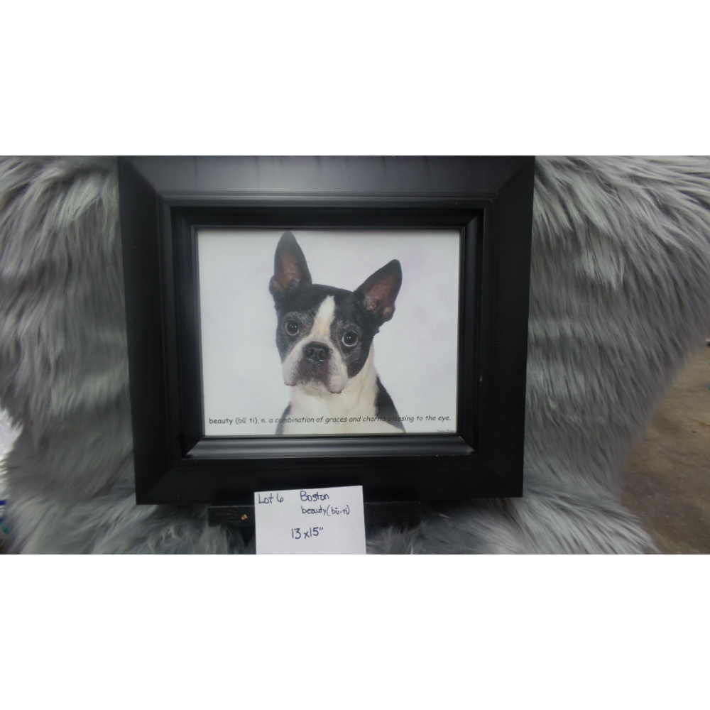 biddingowl-midwest-boston-terrier-rescue-auction