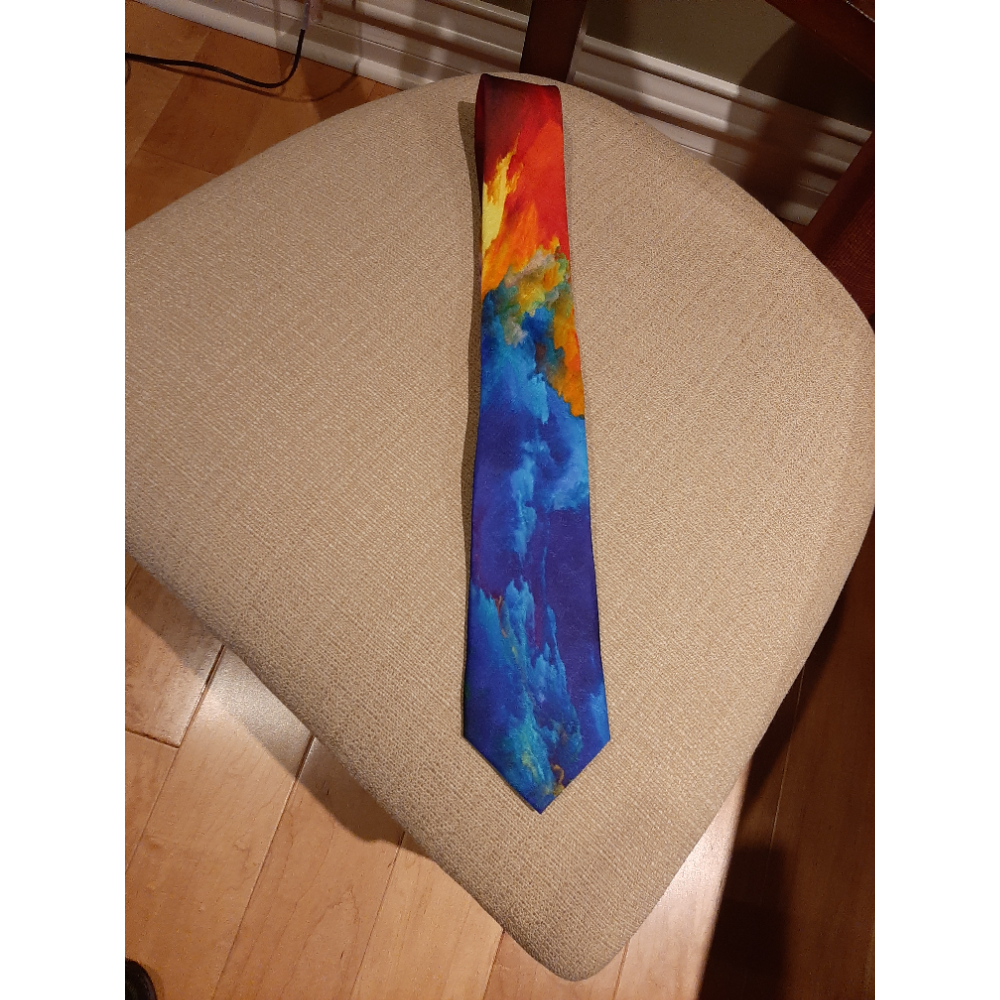 Create Hope in the World Rotary Theme Tie donated by a proud Rotarian