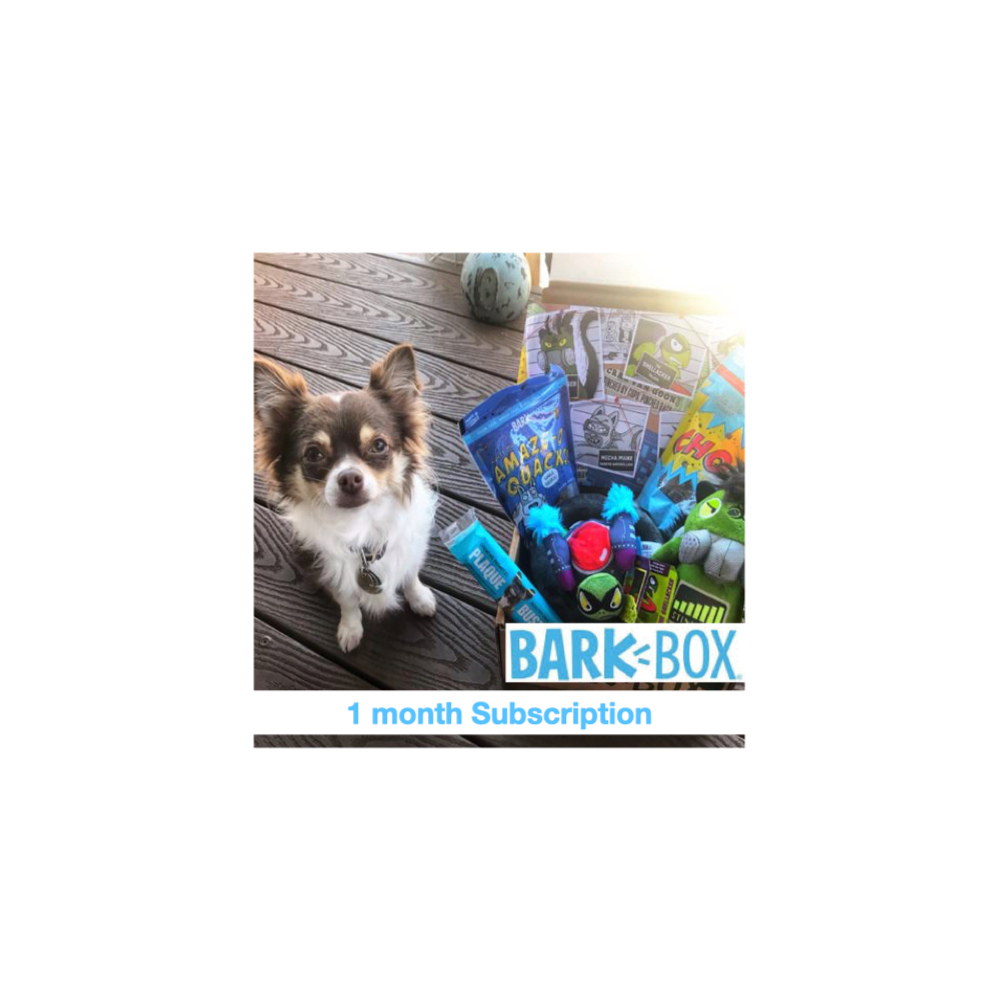 One Month Bark Box Subscription