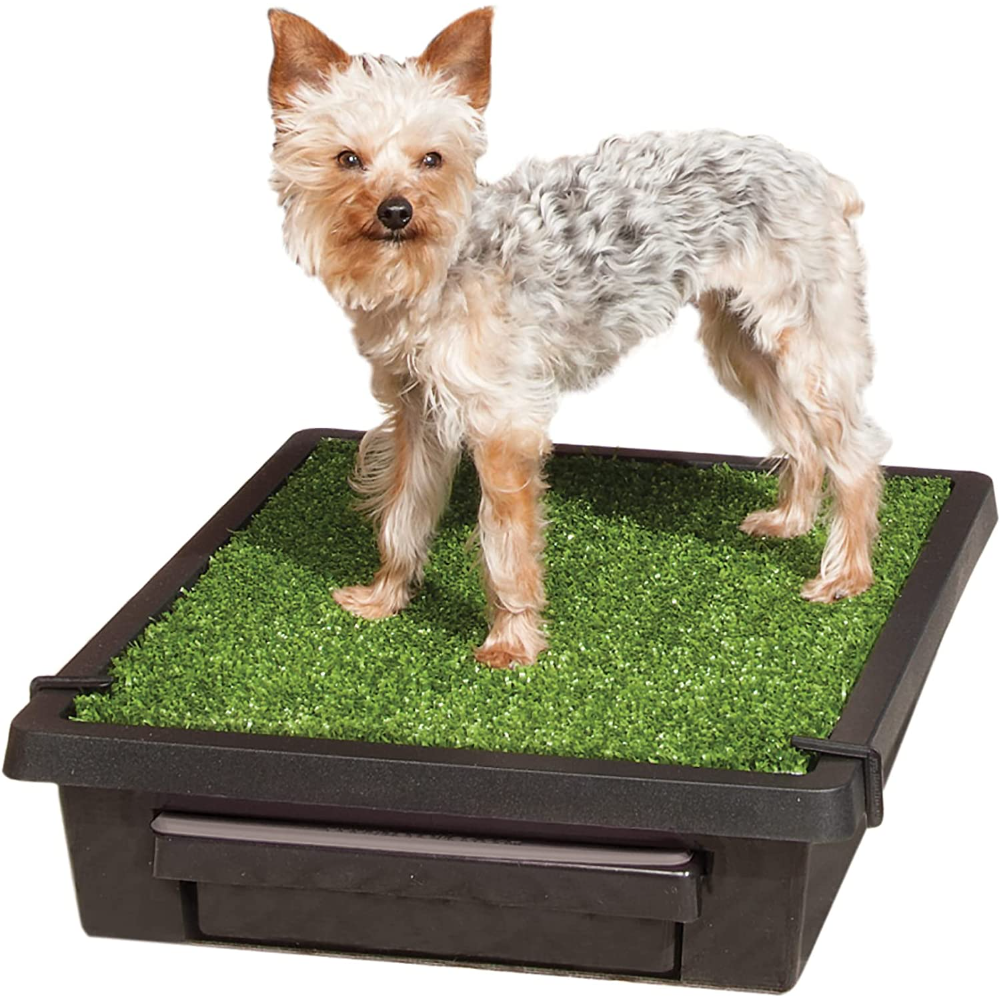 PETSAFE Pet Loo for Small dogs