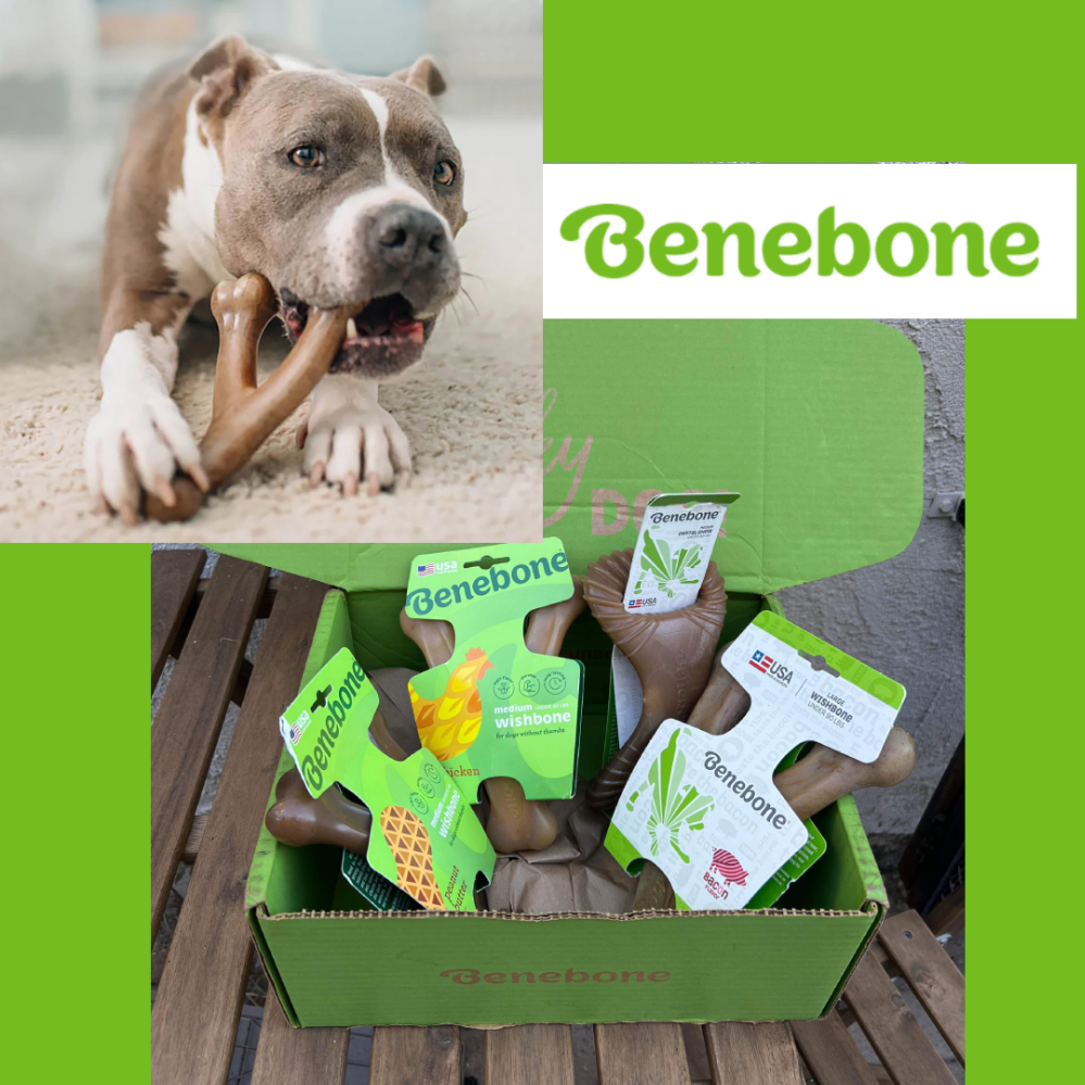 Benebone - 4 dog chews