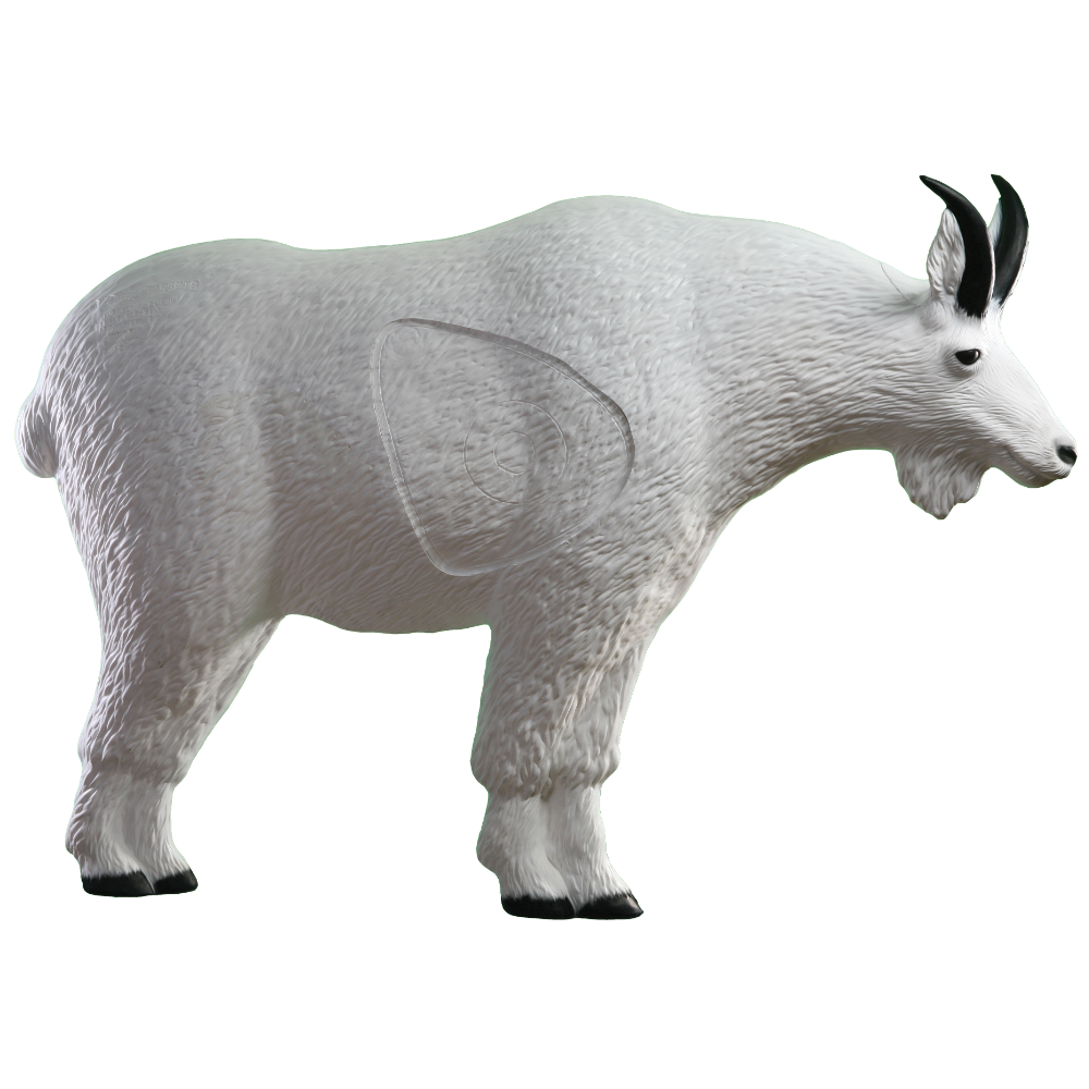 BiddingOwl Rinehart Targets Auction