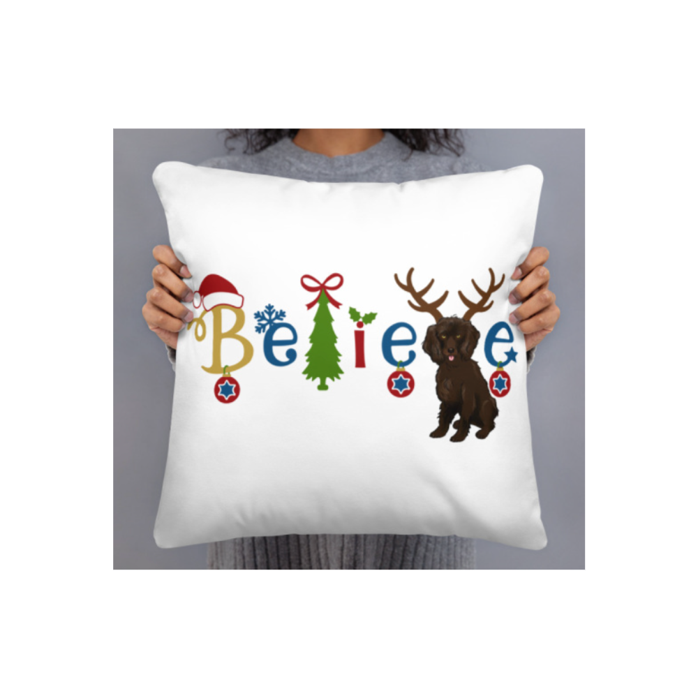 BSR Colorful Believe Basic Pillow- 18x18